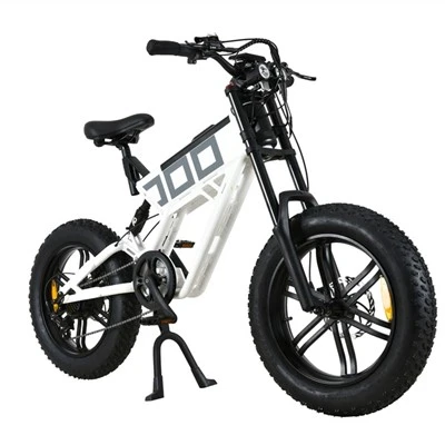 productcate-400-400 20 Inch Sport Electric Bike